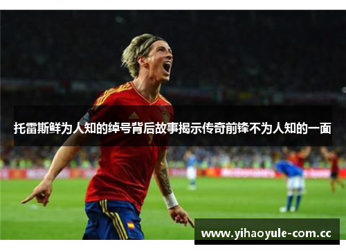 托雷斯鲜为人知的绰号背后故事揭示传奇前锋不为人知的一面 托雷斯鲜为人知的绰号背后故事揭示传奇前锋不为人知的一面